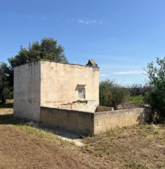 Foto annuncio 14