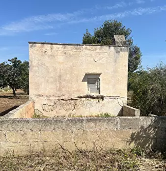 Foto annuncio 16