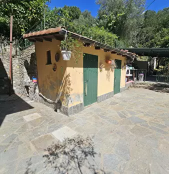 Foto annuncio 19