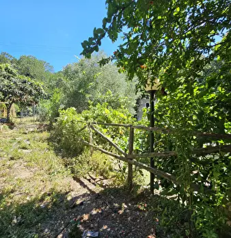 Foto annuncio 24