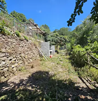 Foto annuncio 40