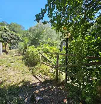 Foto annuncio 42