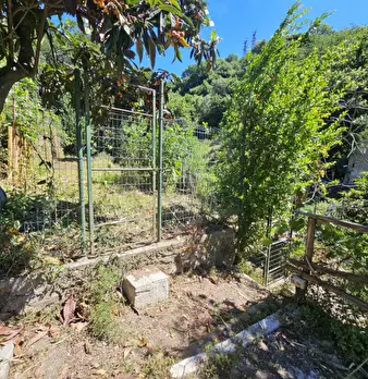 Foto annuncio 43