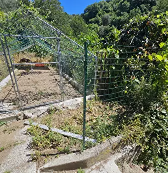 Foto annuncio 45