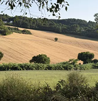 Foto annuncio 3