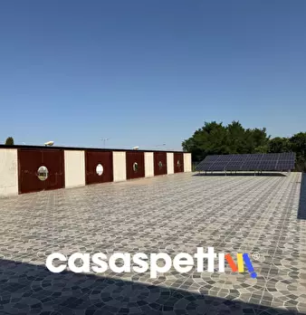 Foto annuncio 7