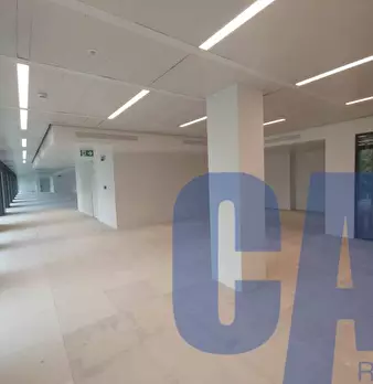 Foto annuncio 21