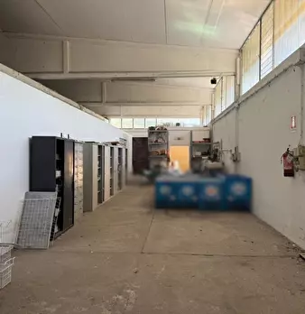Foto annuncio 20