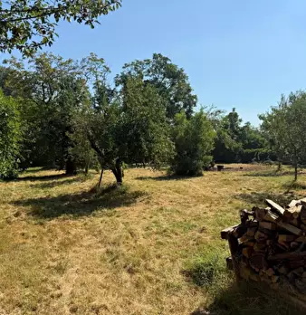 Foto annuncio 23