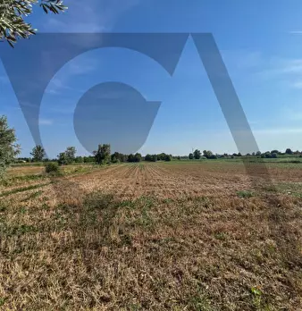 Foto annuncio 25