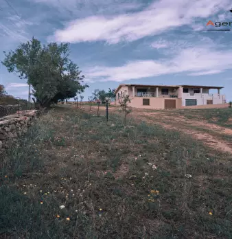 Foto annuncio 87