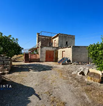 Foto annuncio 10