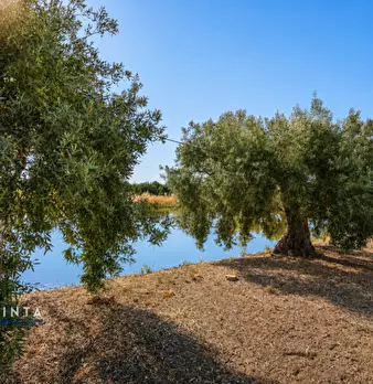 Foto annuncio 19