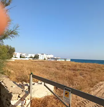 Foto annuncio 42