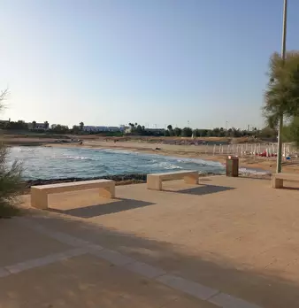 Foto annuncio 52