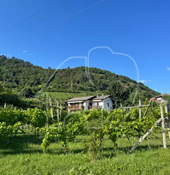 Foto annuncio 4