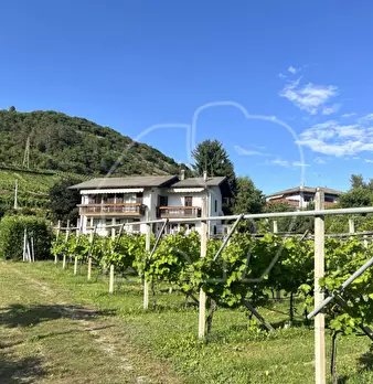 Foto annuncio 5