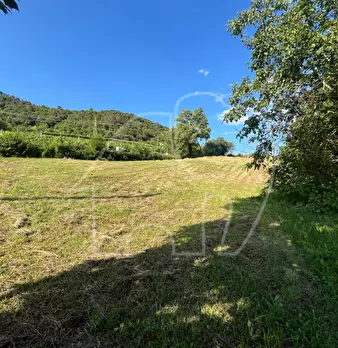 Foto annuncio 24