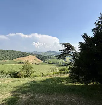 Foto annuncio 49