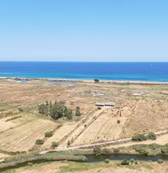 Foto annuncio 8