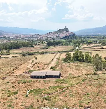 Foto annuncio 13