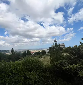 Foto annuncio 15