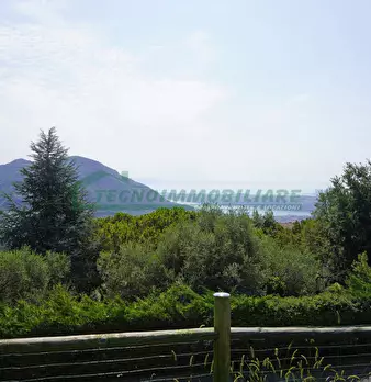 Foto annuncio 4