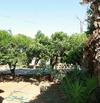 Foto annuncio 4