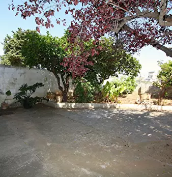 Foto annuncio 6