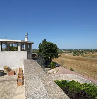 Foto annuncio 31