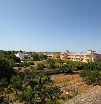 Foto annuncio 32