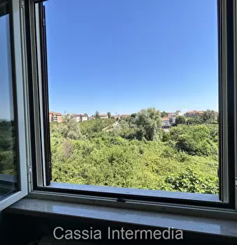 Foto annuncio 24