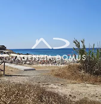 Foto annuncio 54