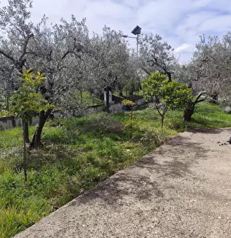 Foto annuncio 4