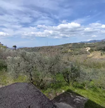 Foto annuncio 13