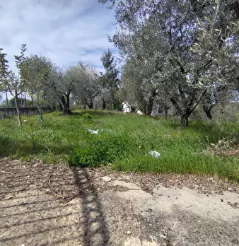 Foto annuncio 16