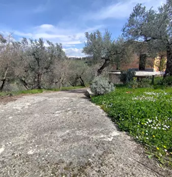 Foto annuncio 17