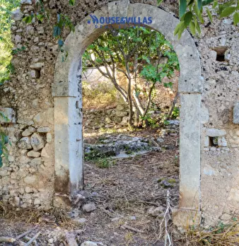 Foto annuncio 6