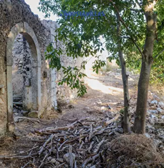 Foto annuncio 8