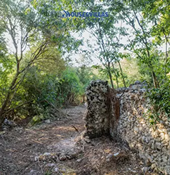 Foto annuncio 10