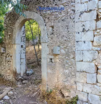 Foto annuncio 11
