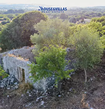 Foto annuncio 16