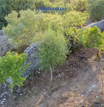 Foto annuncio 21