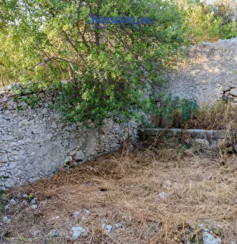 Foto annuncio 23