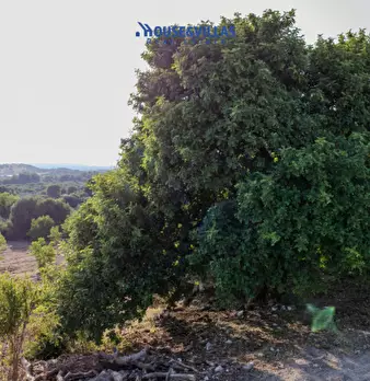 Foto annuncio 44