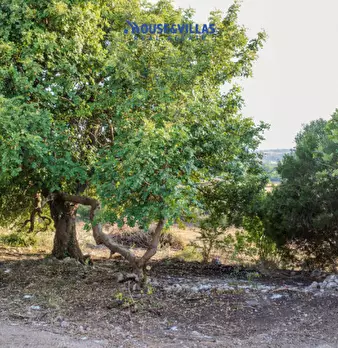Foto annuncio 45