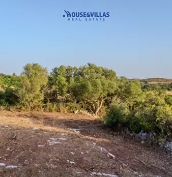 Foto annuncio 50
