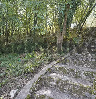 Foto annuncio 12