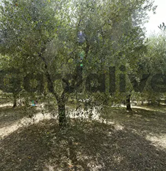 Foto annuncio 21