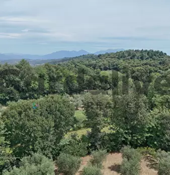 Foto annuncio 22